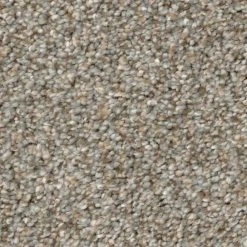 Clareview - Color Eastglen Indoor 12 ft. Texture Gray Carpet (1080 sq. ft./Roll) by Home Decorators Collection 13 Clareview - Color Eastglen Indoor 12 ft. Texture Gray Carpet (1080 sq. ft./Roll) by Home Decorators Collection -Zamma Home Decorators Shop 792 eastglen home decorators collection roll carpet h2019 792 1200 76 1000