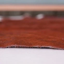 Natural Cowhide Brown and White 5 ft. x 7 ft. Animal Shape Area Rug by Home Decorators Collection -Zamma Home Decorators Shop brown and white home decorators collection area rugs v301000001brwh 40 1000