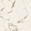 12 in. W x 24 in. L Harvested Marble Click Lock Luxury Vinyl Tile Flooring (19.37 sq. ft./case) by Home Decorators Collection