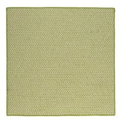 Sadie Lime 12 ft. x 12 ft. Indoor/Outdoor Braided Area Rug by Home Decorators Collection