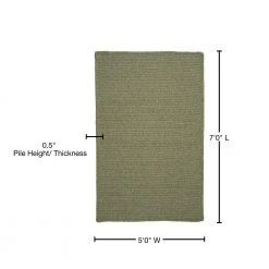 Wilshire Palm 5 ft. x 7 ft. Rectangle Braided Area Rug by Home Decorators Collection -Zamma Home Decorators Shop palm home decorators collection area rugs 3477817650 76 1000